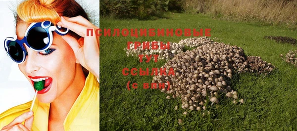 гидропоника Алзамай