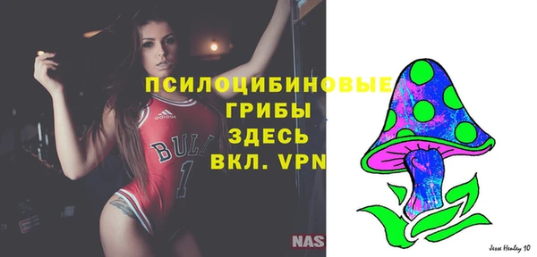 гидропоника Алзамай