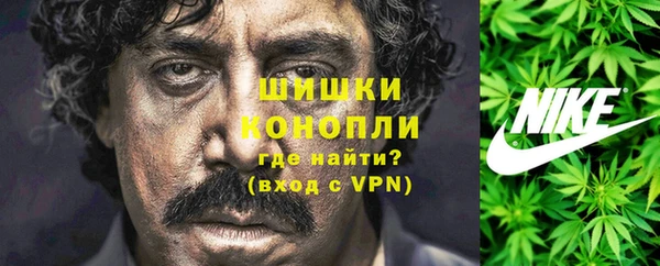 гидропоника Алзамай